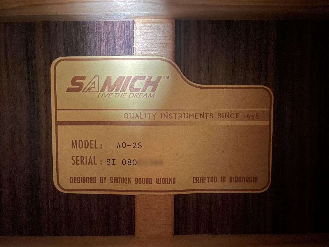 A0-2S オール単板