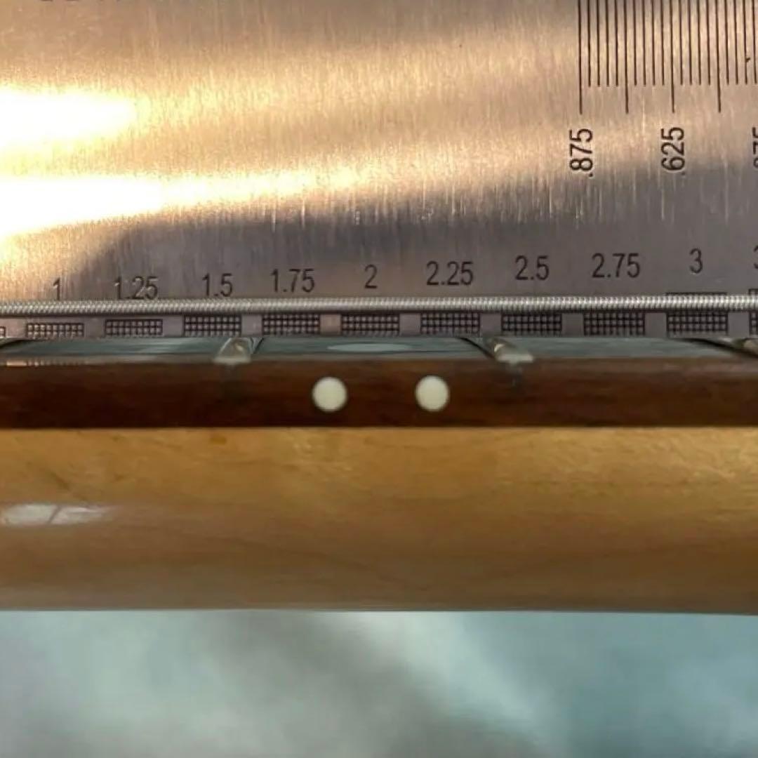 ZO-3 テルミン仕様（アンプ内蔵エレキギター）フェルナンデス