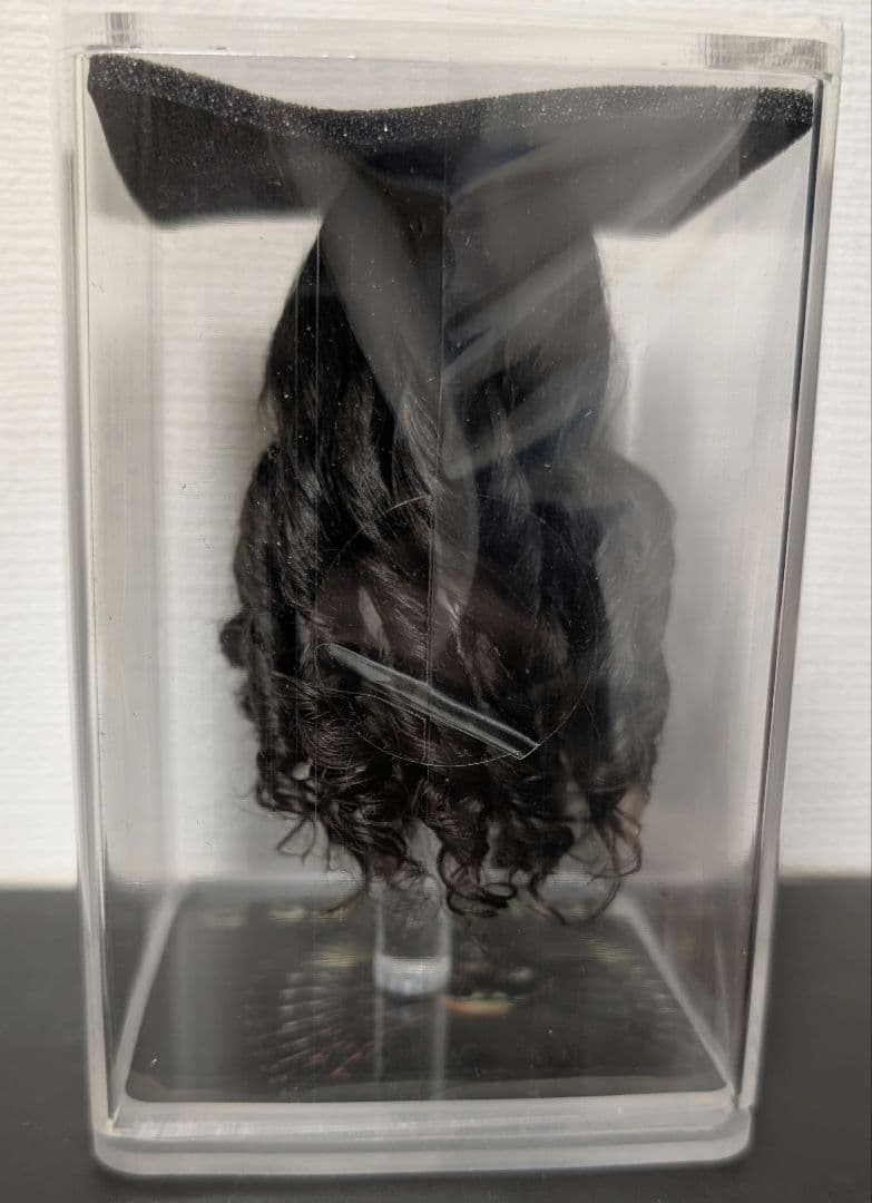 ワンダーウーマン ホットトイズ ワーナー・ブラザーズ100周年1/6フィギュア