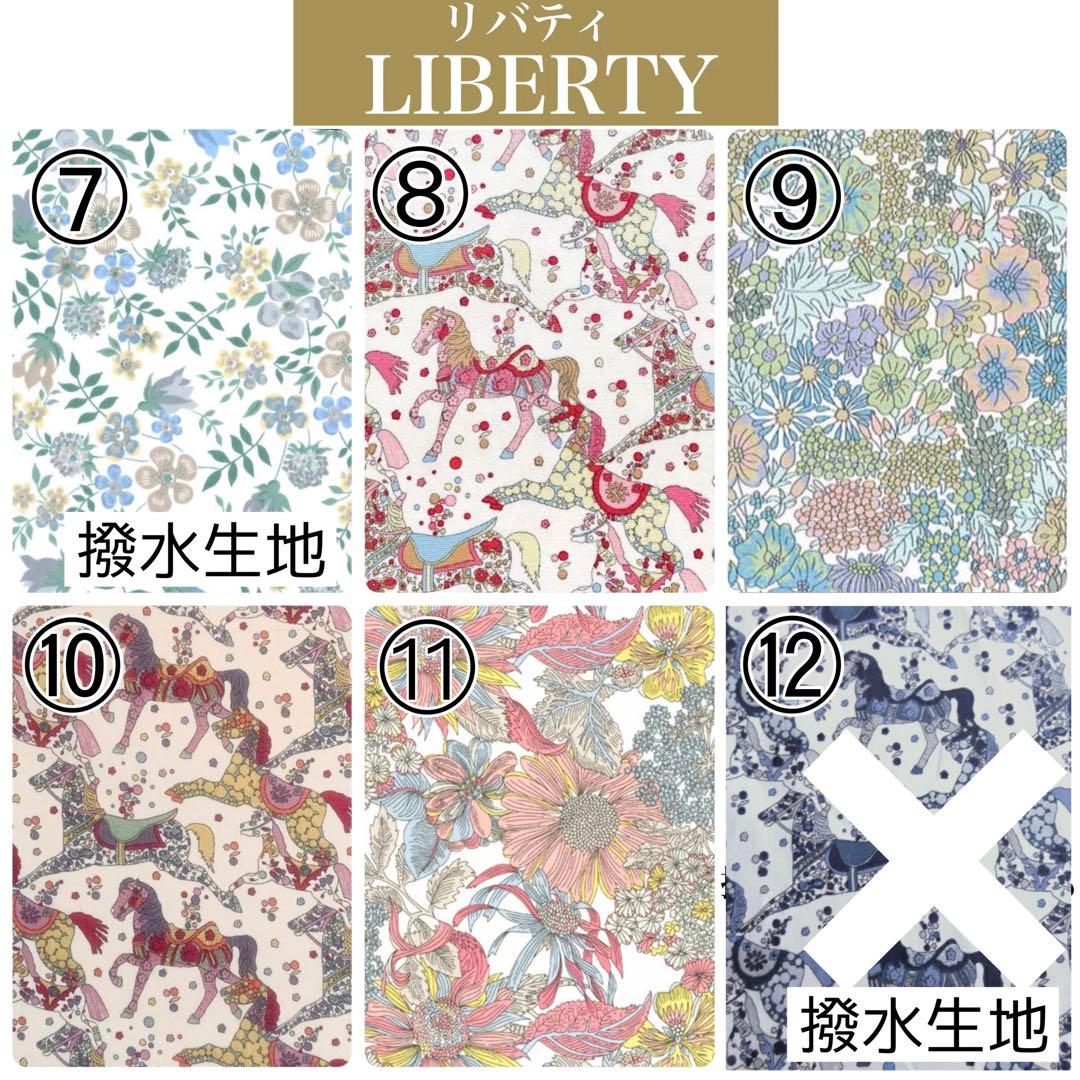 ガーデンパーティTTPM エヴリンTPM バッグインバッグ リバティ