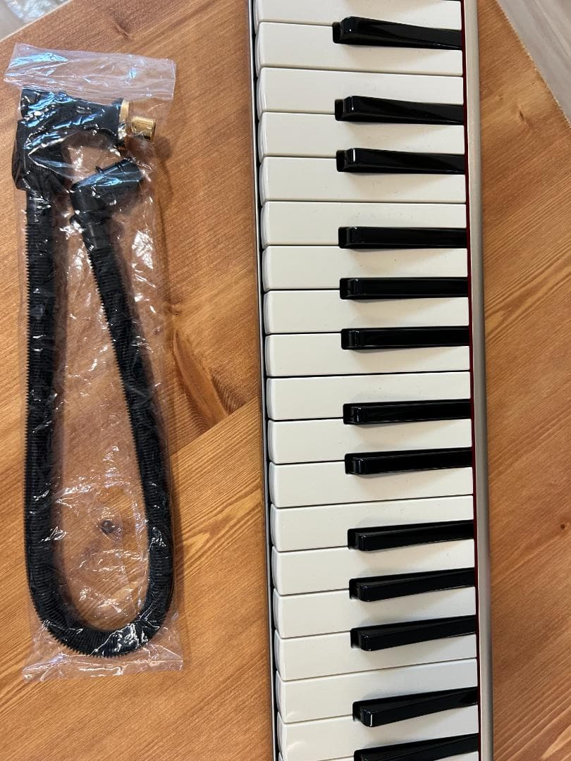 HAMMOND PRO-44Hv2　鍵盤ハーモニカ　アルト　44鍵　ハモンド