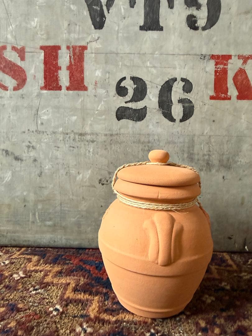 サンタマリアノヴェッラ　　テラコッタ