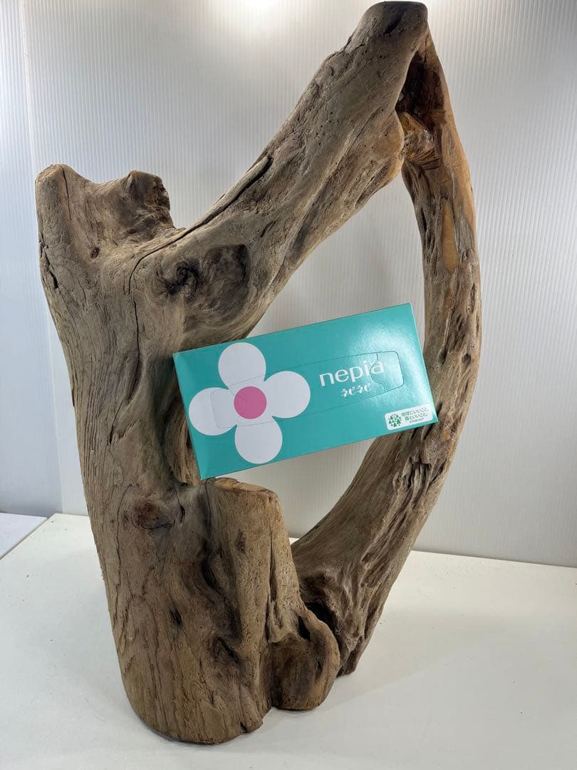 m10特大流木 アク抜き済み 爬虫類シェルター 登り木 インテリア オブジェ