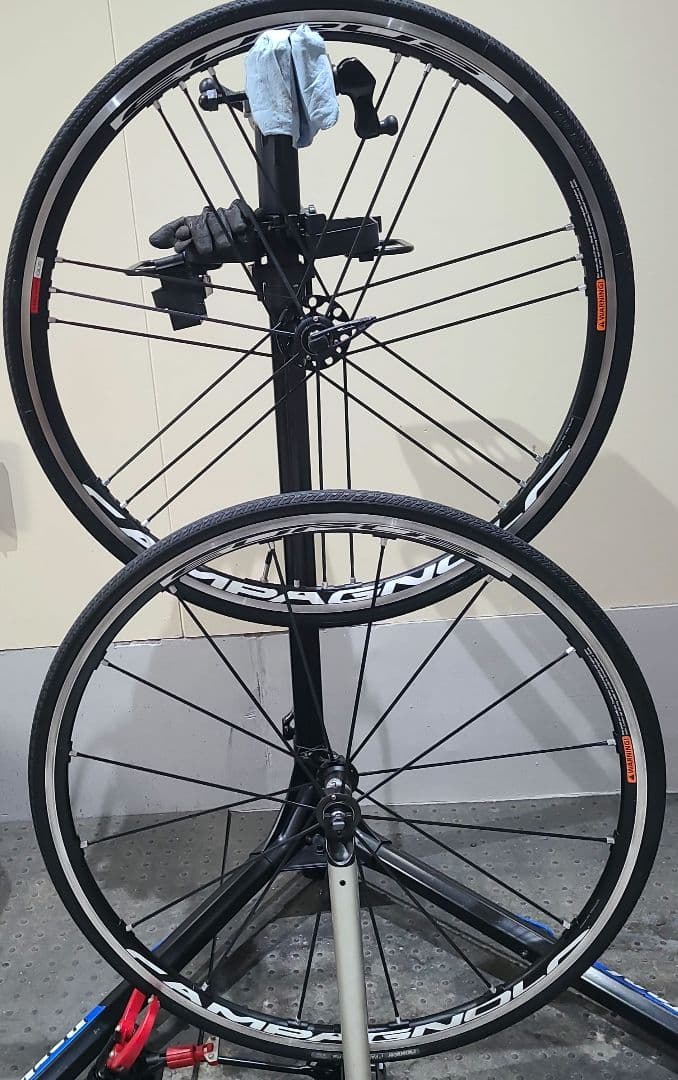 CAMPAGNOLO EURUS15c　カンパフリー　 前後 リム　タイヤ無