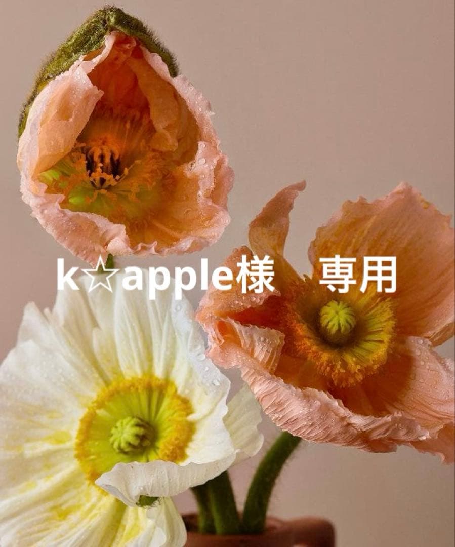 k☆apple　ブラウン