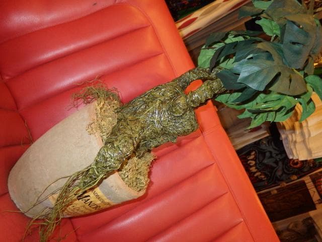 カイゾクソウコ★マンドレイク★28号★人形★フィギュア★マンドラゴラ★ハロウィン