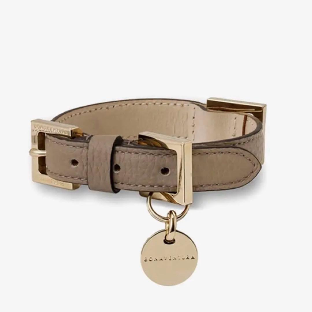 ボナベンチュラ　カラー　S