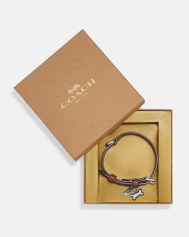 COACH　シグネチャーキャンバス　首輪とリード　犬