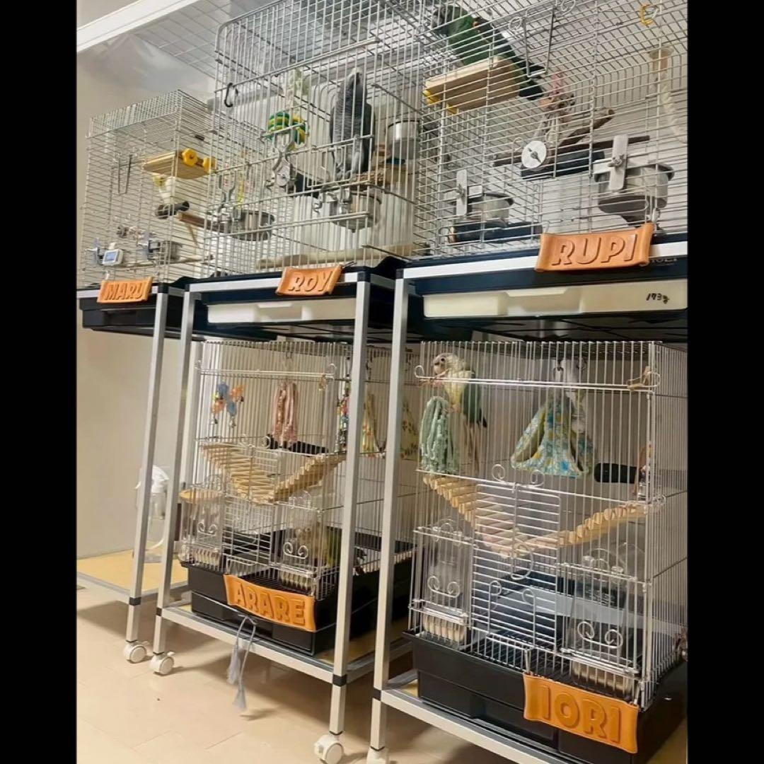 牛本革レザー【大きいネームプレート】オーダー受付ページ♡ネームタグ♡ペット鳥犬猫