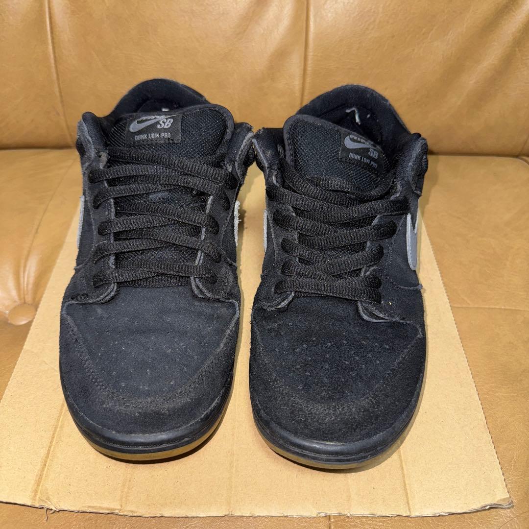 スケートボード Nike SB Dunk fog