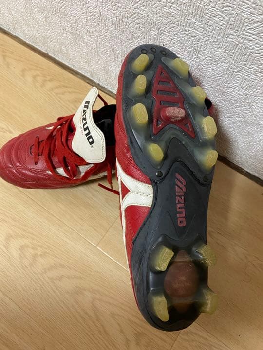 モレリアウェーブ