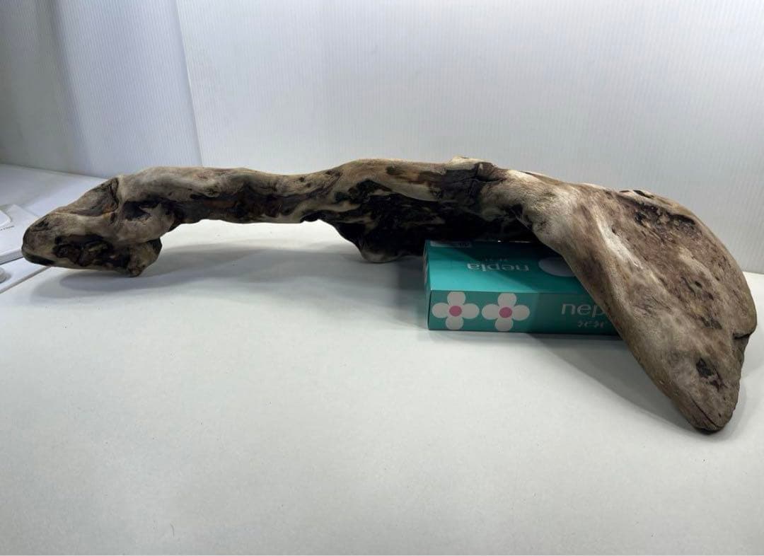 専用品 大型流木 アク抜き済み