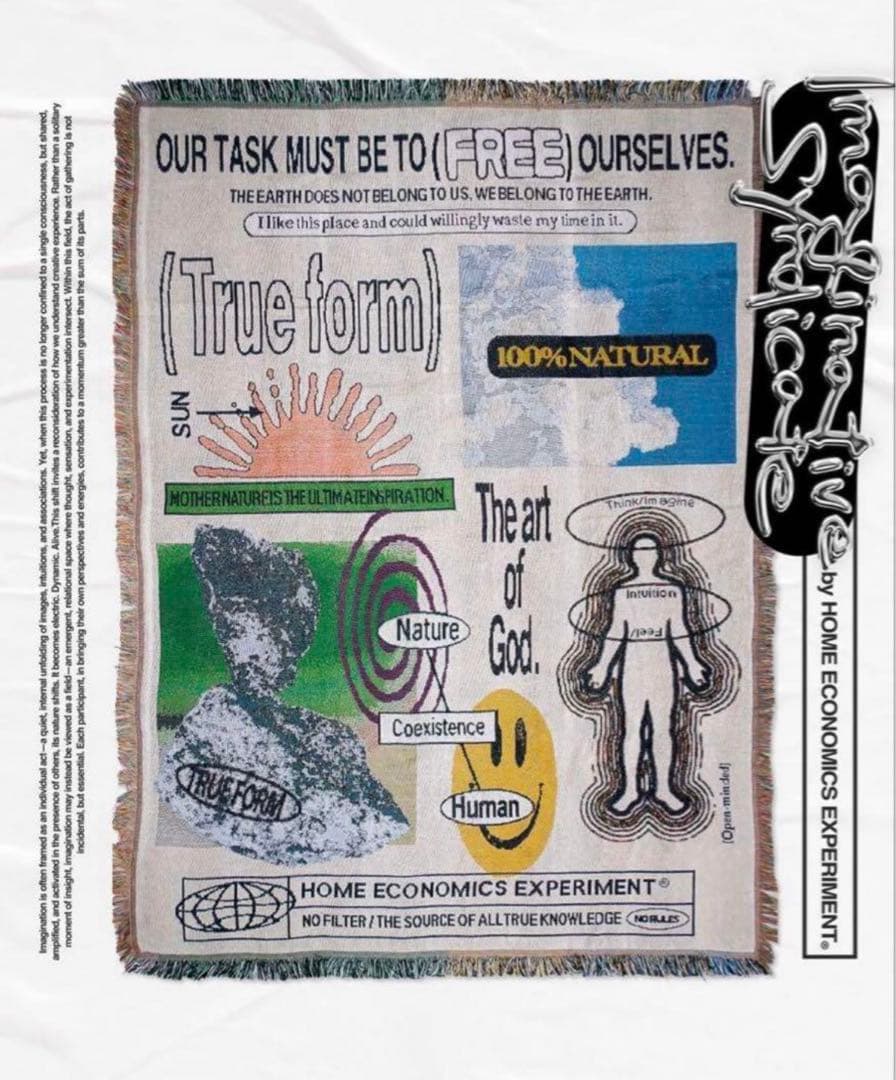 【完売品、美品】 ECONOMICS EXPERIMENT ラグ　マット