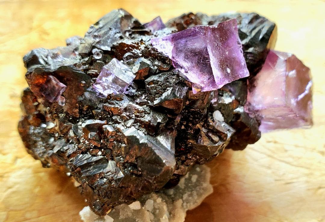 【コレクターズアイテム】エルムウッドフローライト