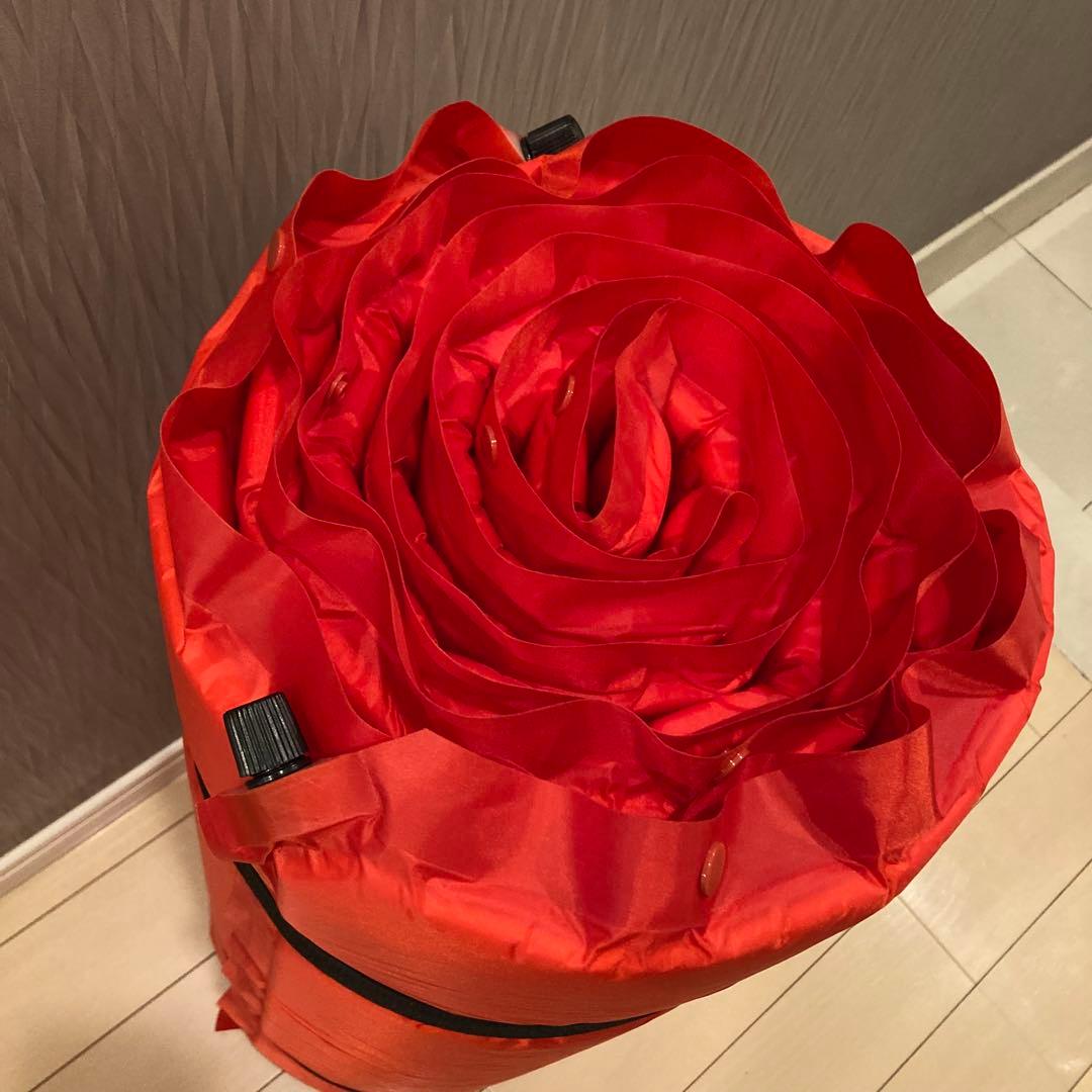 未使用　直営店限定　コールマン　インフレーターマットダブル 赤