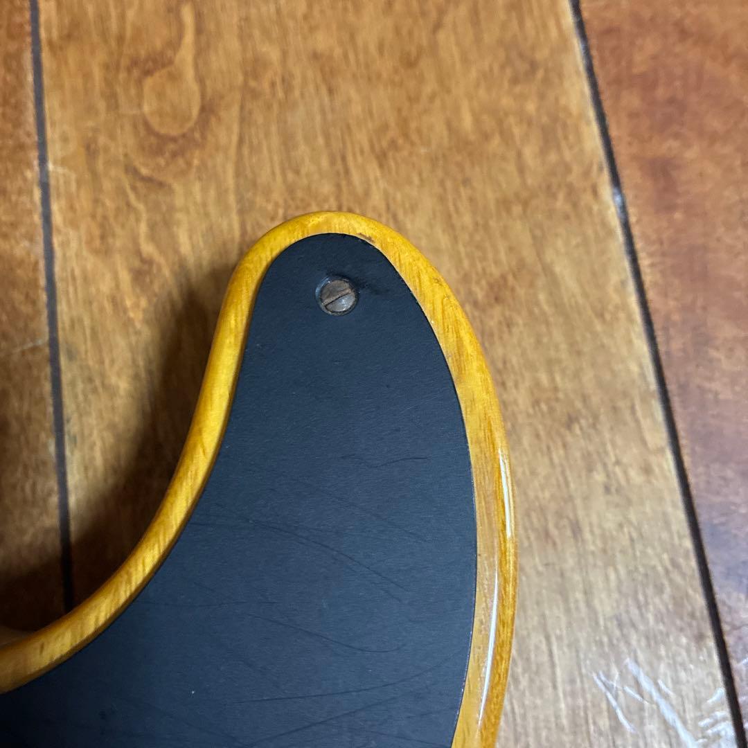 Fender Telecaster フェンダー テレキャスター ソフトケース有