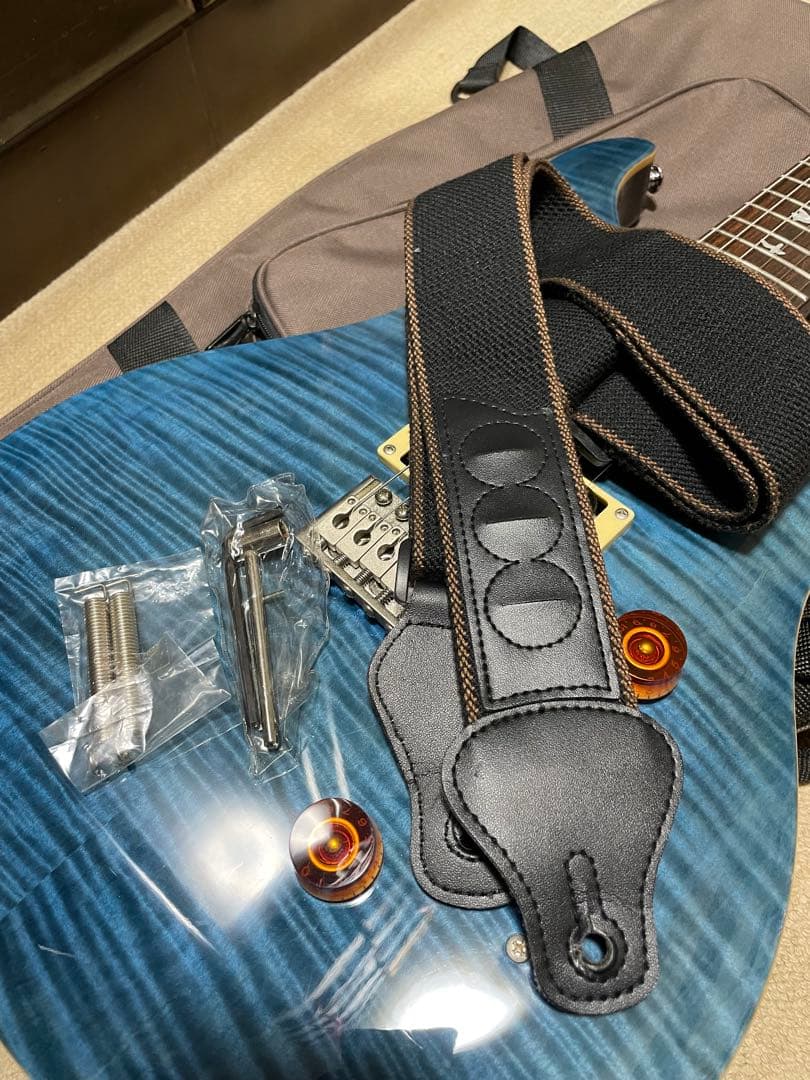 ギター PRS SE custom24