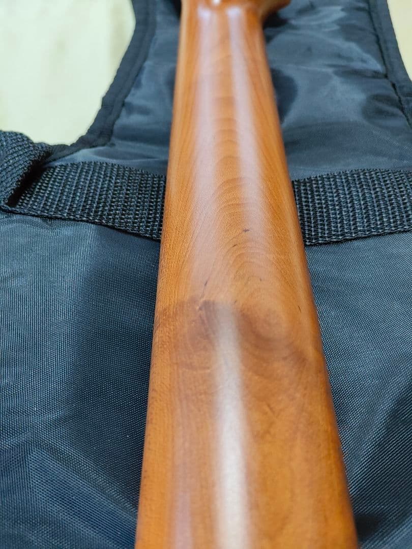 2ヶ月前に購入 新品同様Bacchus テレキャスター ギターケース シールド付