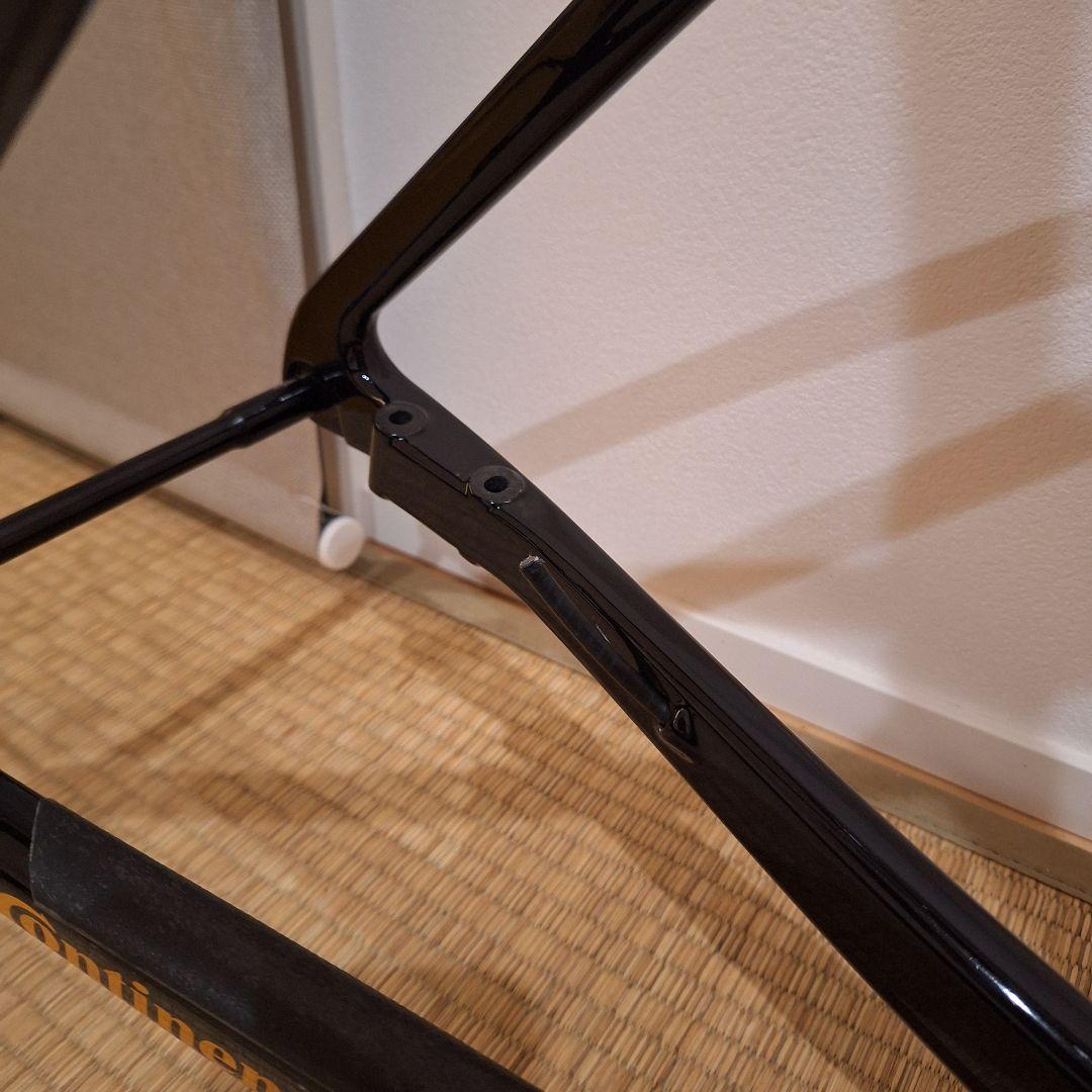 キノコ　メリダ スクルトゥーラ　 バーレーンヴィクトリアス