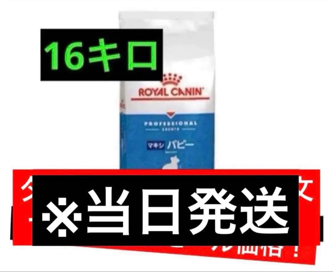  CANIN 大型犬　子犬用　マキシパピー16キロ　ロイヤルカナン