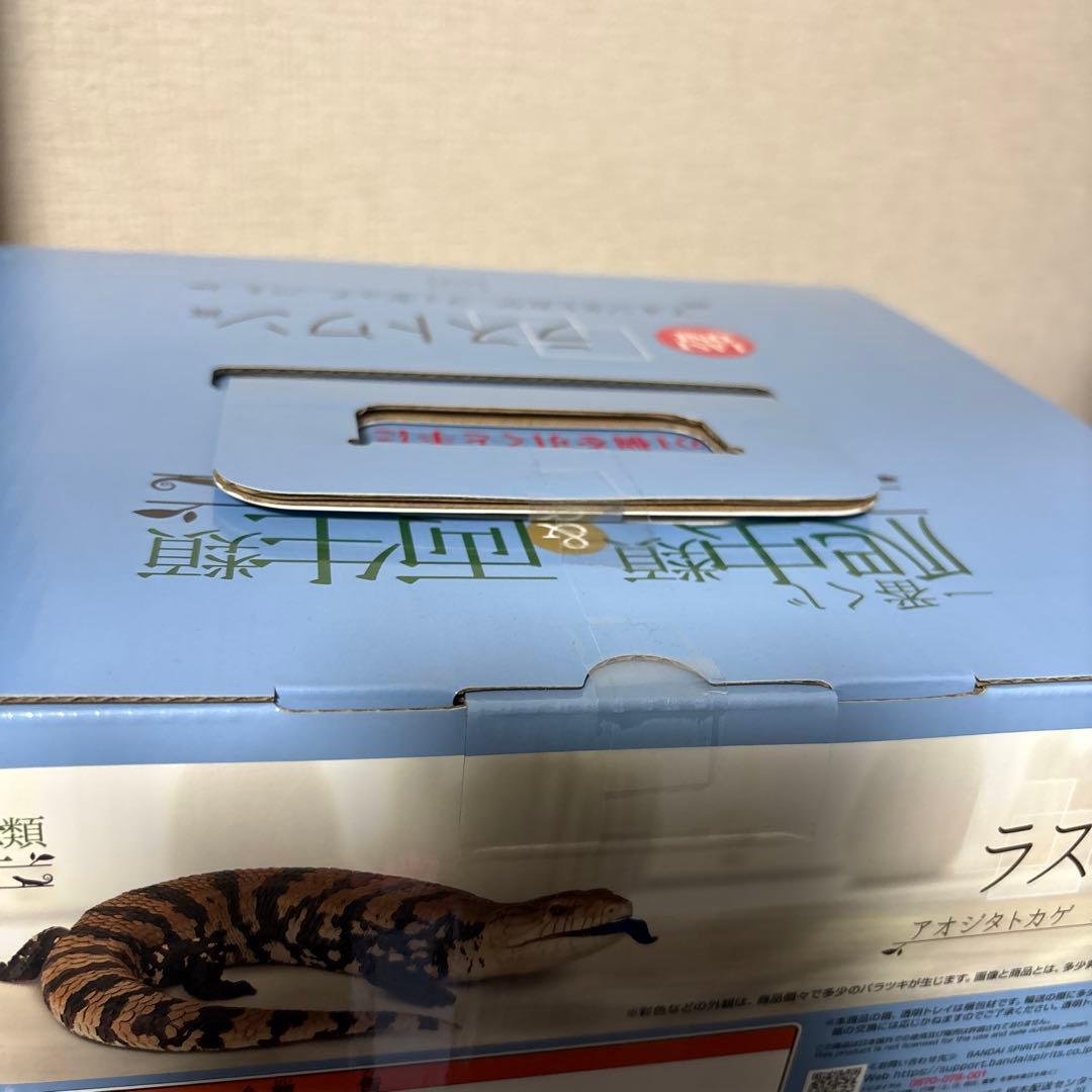 一番くじ 爬虫類&両生類 A賞 C賞 D賞 E賞 ラストワン フィギュア