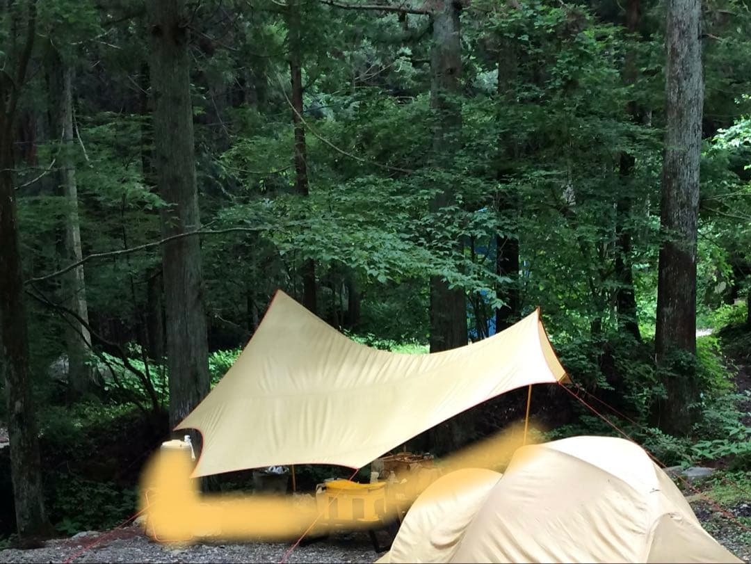 モステント　ビスタウィング Moss VISTAWING ビンテージ　レア