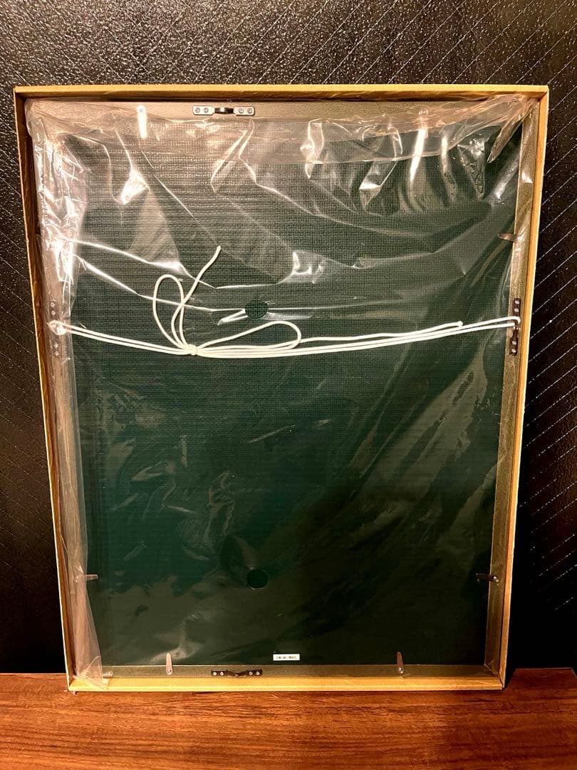 進撃の巨人 オンライン展覧会限定記念額装絵 (第13巻表紙) 完全受注生産品