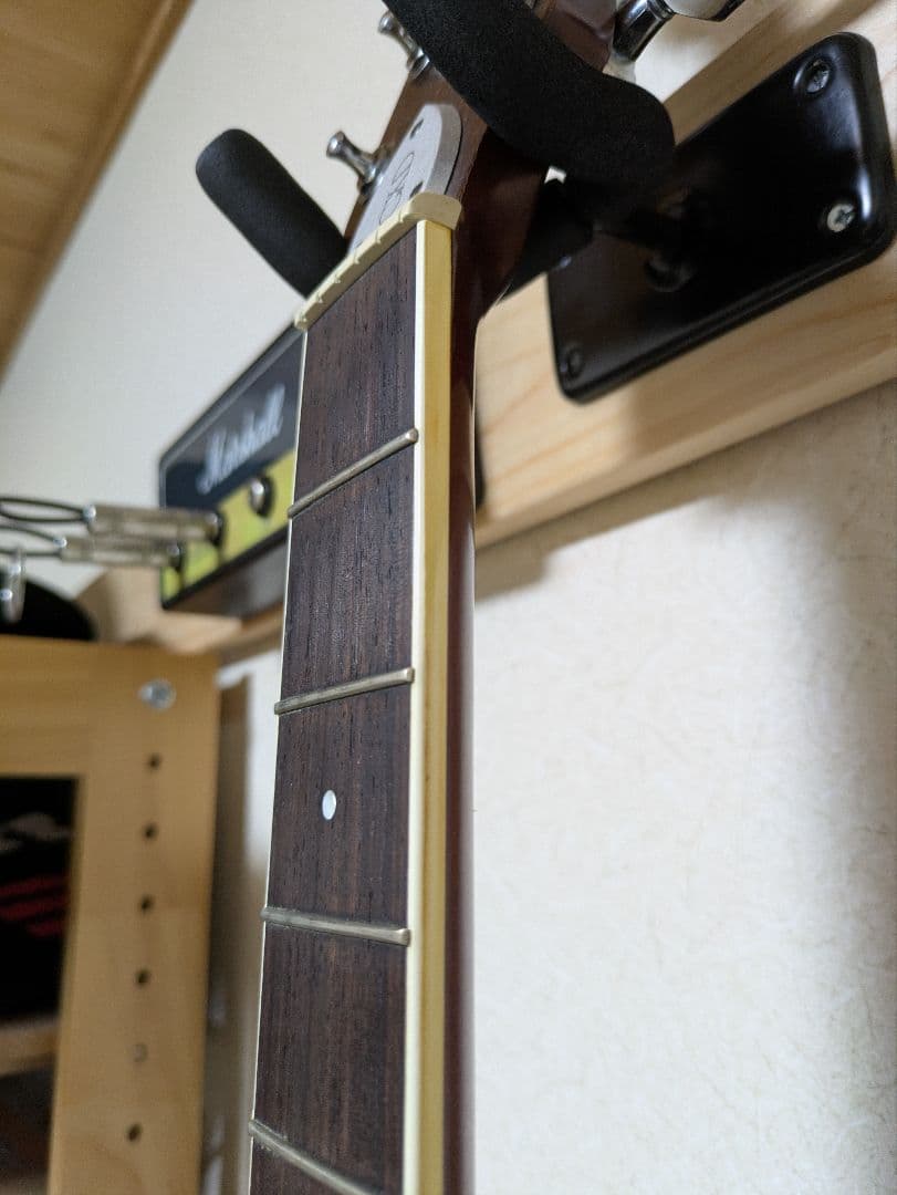 Morris Tornado gdx エレアコースティックギター(日本製)