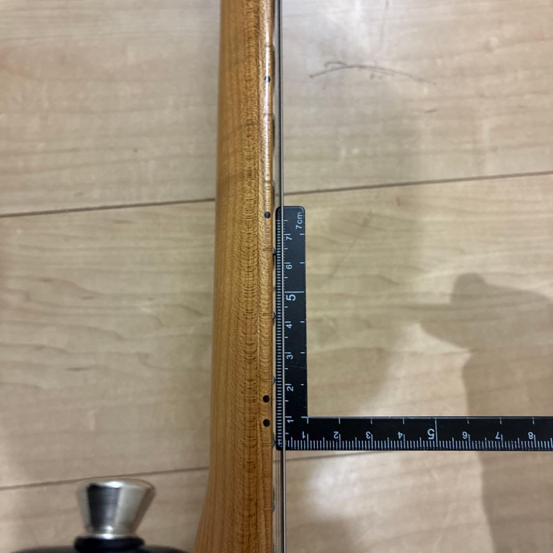 メンテ済み　超美品　バッカス　ストラトタイプBST-1 rsm