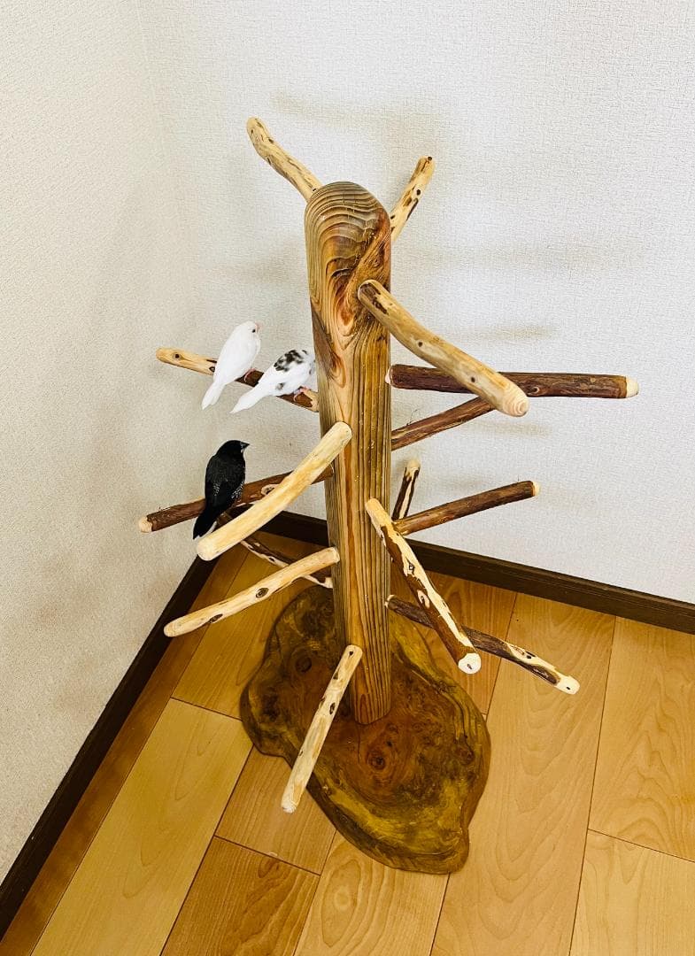 【中型鳥用】螺旋状♪ビビリさんにもすぃすぃ登れるバードスタンド