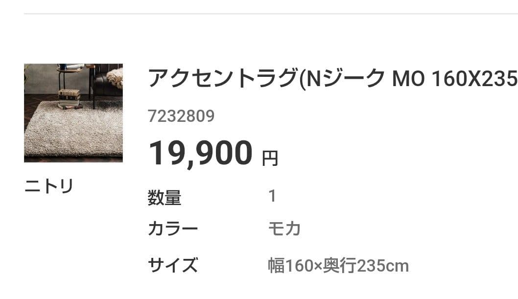 （送料込み）アクセントラグ(Nジーク MO 160X235)