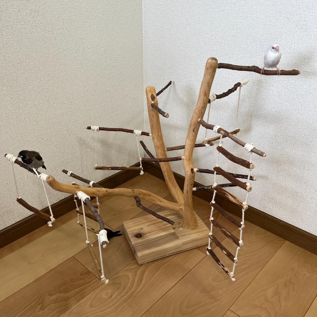 【小鳥用】あちこちブランコ&はしご付♬バードジム