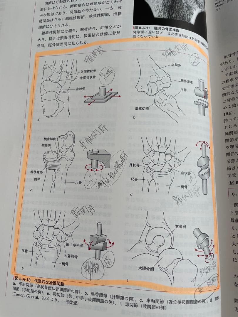 公認アスレティックトレーナー専門科目テキスト ①〜⑤.⑦.⑨巻 AT教本