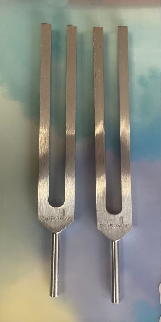 チューニングフォーク2本セット 脂肪、筋肉音叉