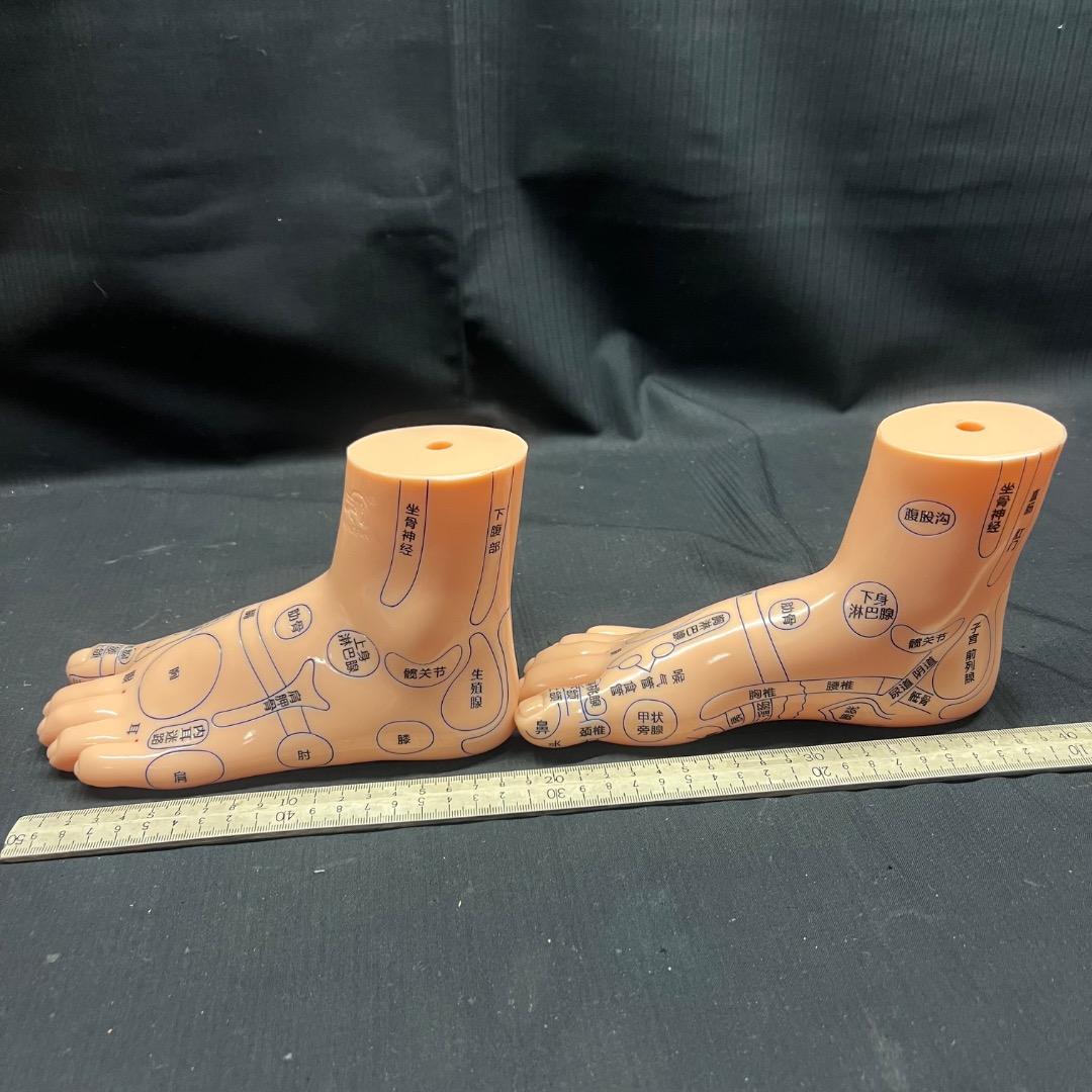 〇Od54 未使用保管品 鍼 ツボ モデル 手 耳 足 3点まとめ