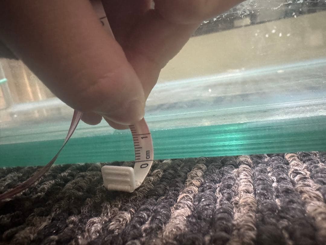 大型水槽　75~80L水槽