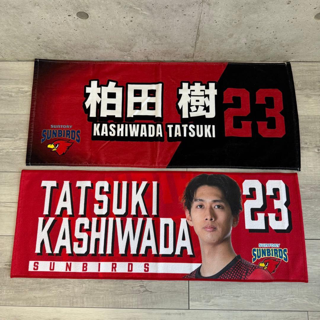 サントリーサンバーズ23 柏田樹