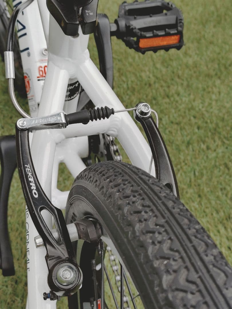 ルイガノ　J20【兵庫県　直接引渡し限定】