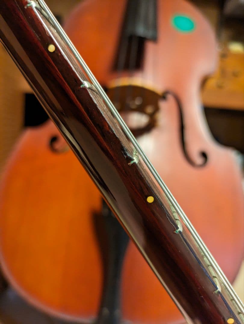 1991 Gibson Flying V 67' & 刻印ナンバードPAF