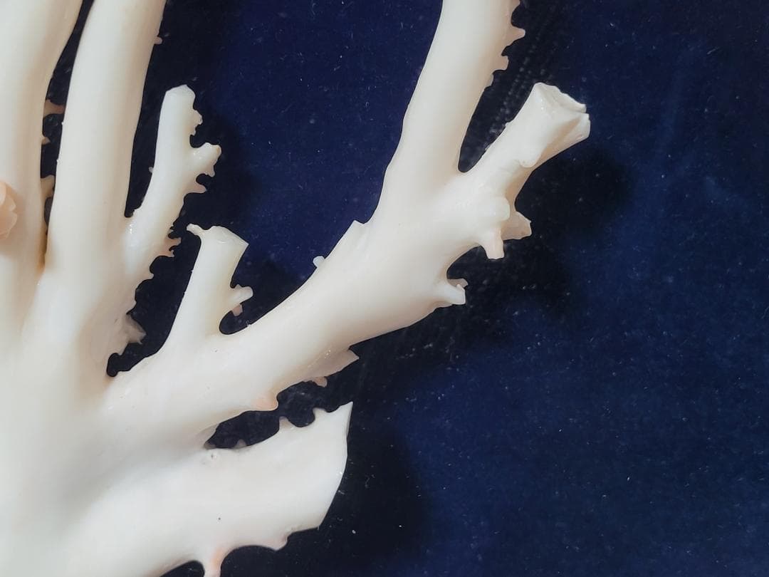 天然希少材料 彫刻 額装 壁飾 置物 横幅約55.8cm