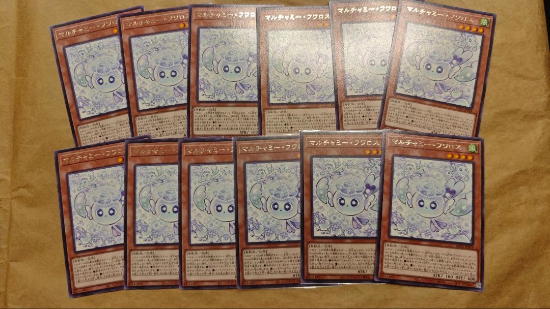 マルチャミー・フワロス 12枚