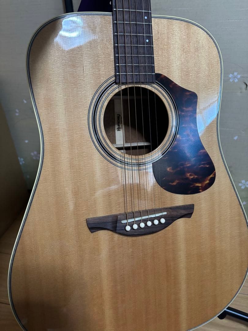 アコースティックギター あいみょん