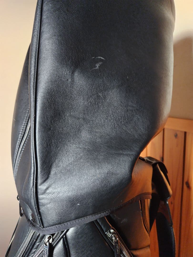 Titleist タイトリスト 大人気キャディバッグ 9.5型 3点式ショルダー