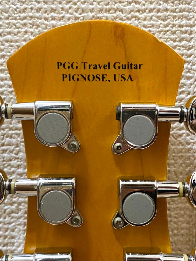 ピグノーズ　アンプ内蔵ギター　オマケ付き