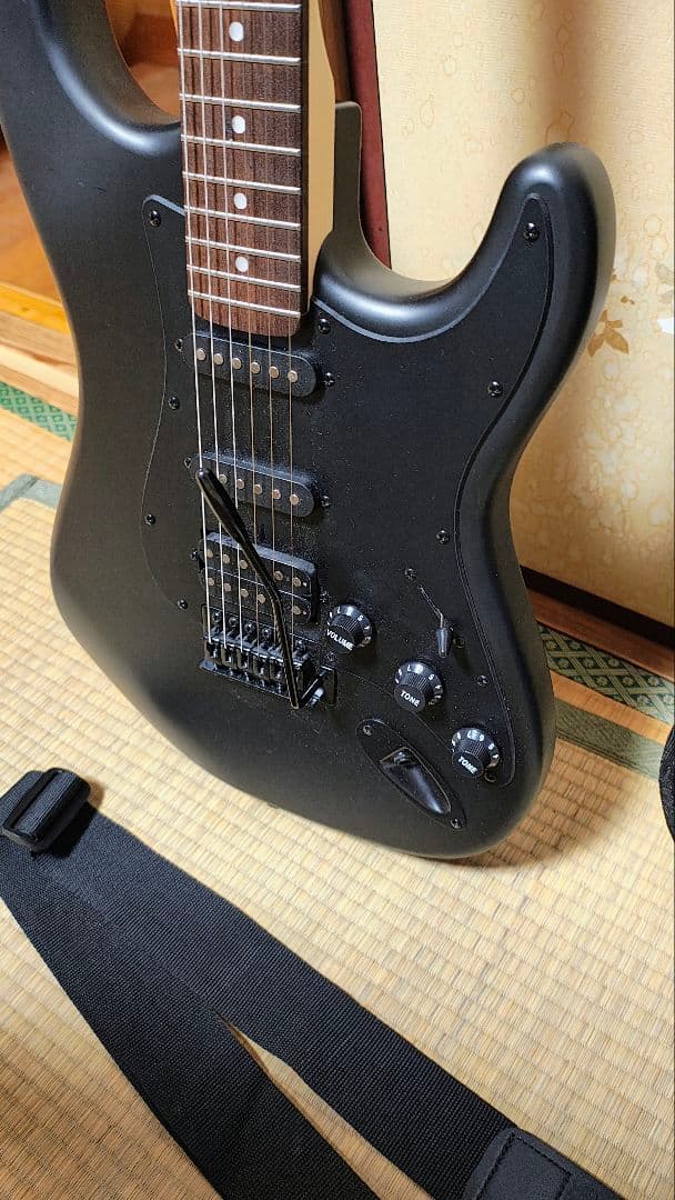 SELDER セルダー　ストラトキャスター　STC-04　全面マッドブラック仕様