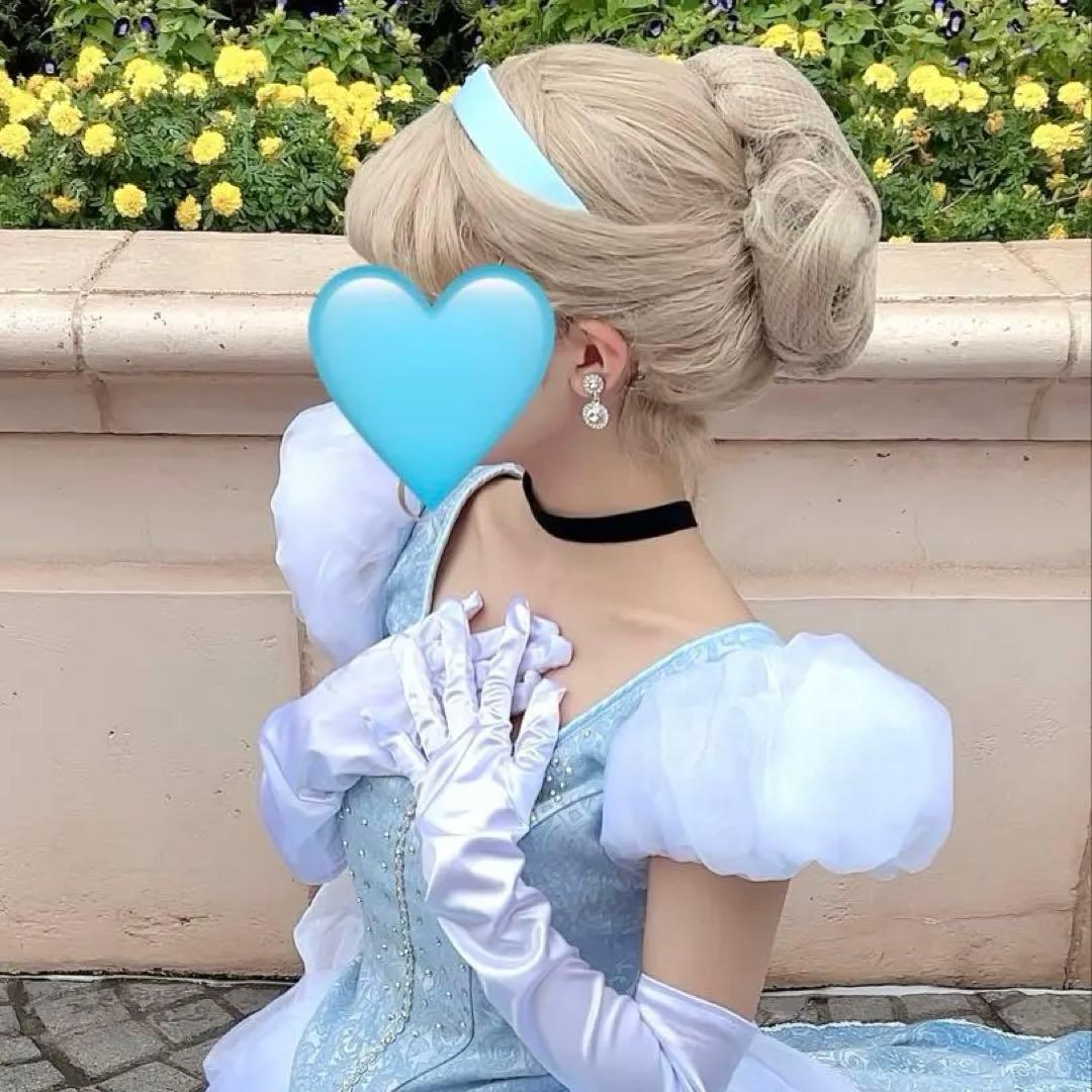 シンデレラ　ウィッグ　Dハロ　仮装