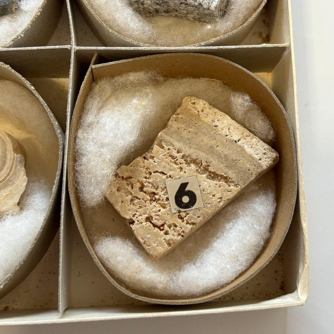 阿武隈山地あぶくま洞の岩石標本 高橋紀信 盛文堂 鍾乳石 方解石 昭和50年代