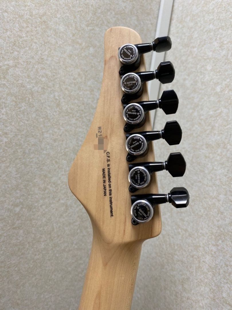 フジゲン FGN FUJIGEN JIL2-ASH-DE-M エレキギター