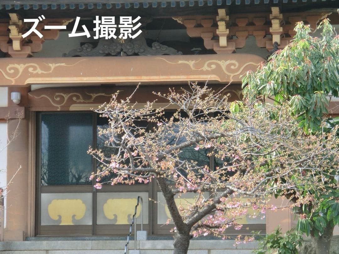 実写美⭕️【動作確認済】カシオ　 CASIO EXILIM EX-ZR10