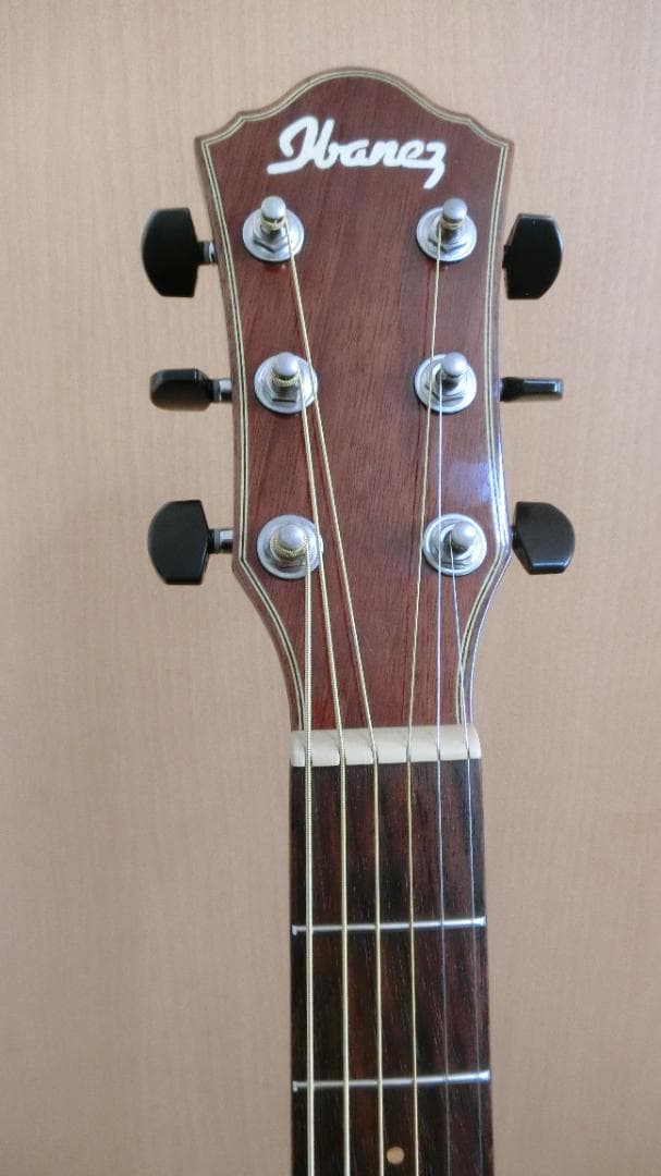 ❤️佐藤 淳一郎商品になります。(￣^￣)ゞ　アイバニーズ AEW22CD